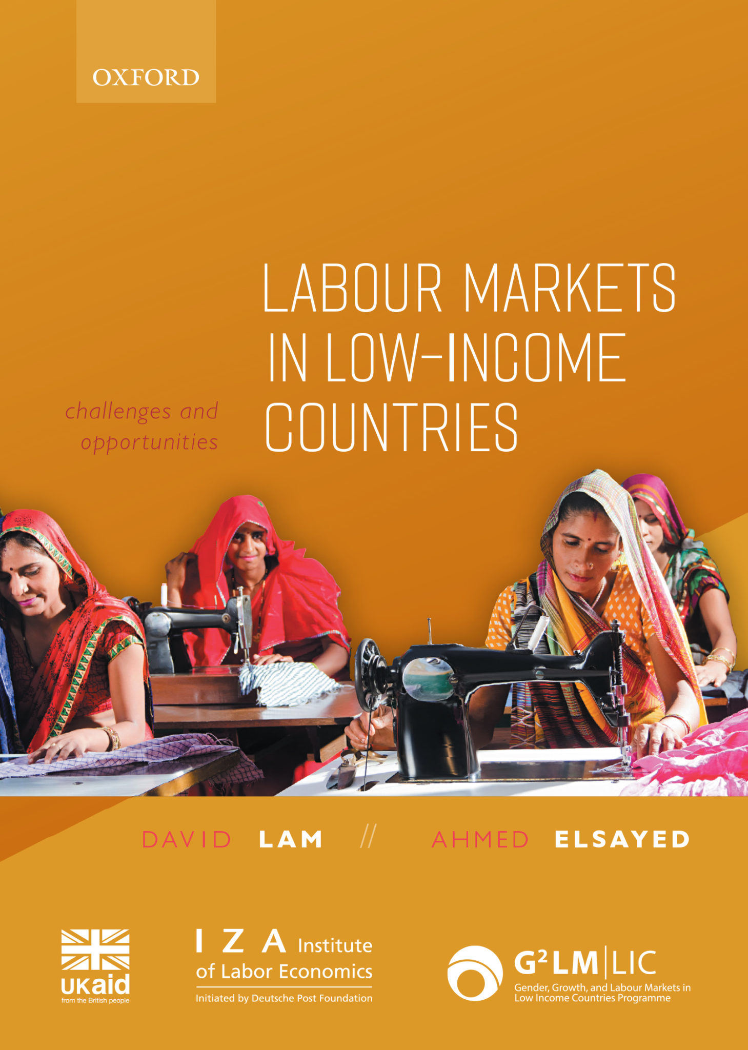 labour-markets-in-low-income-countries